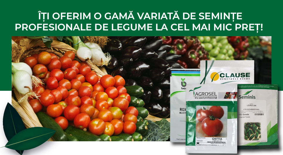 Seminte profesionale de legume