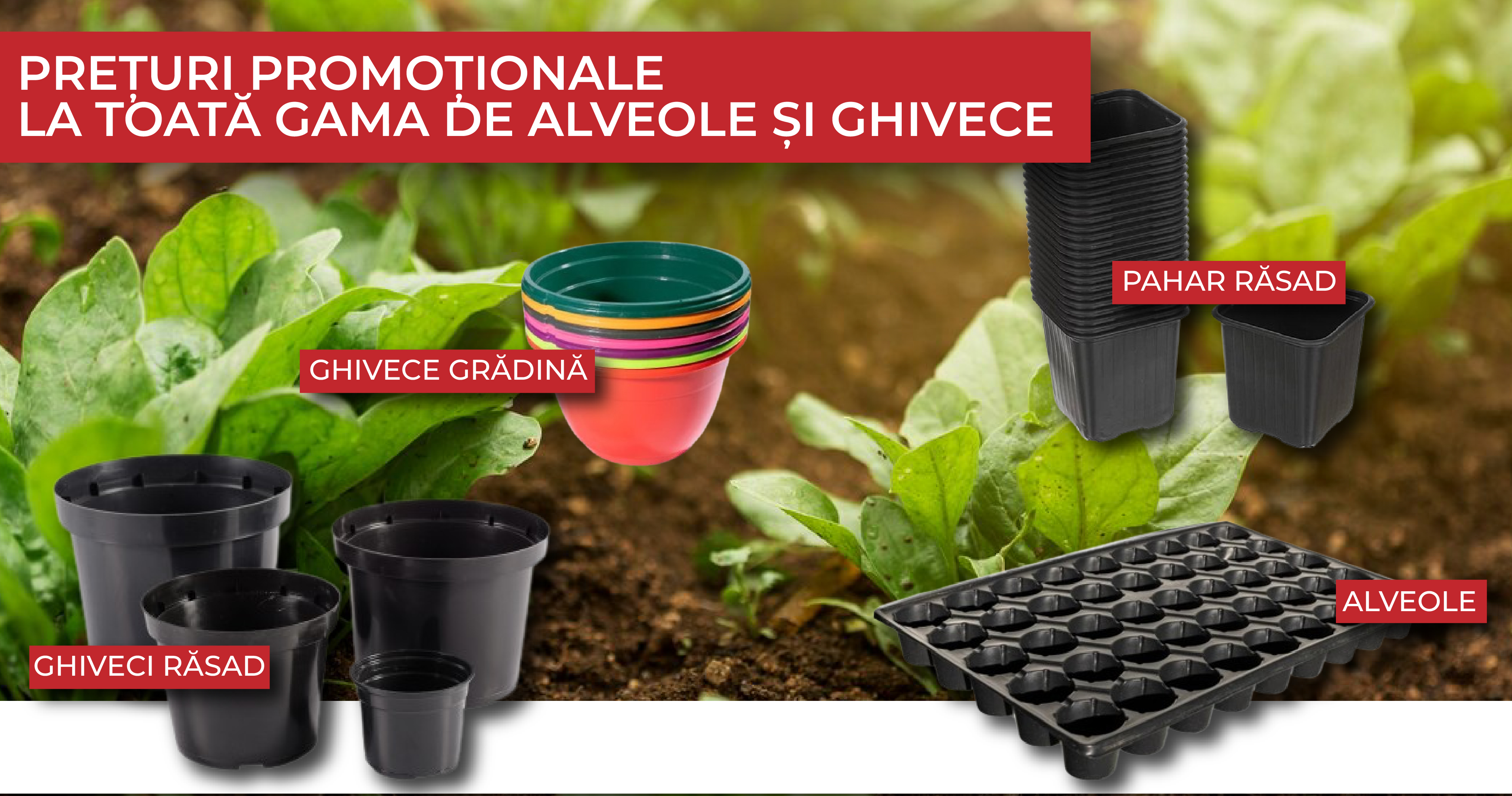 Alveole si ghivece de productie