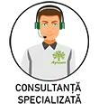 Consultanta Profesionala