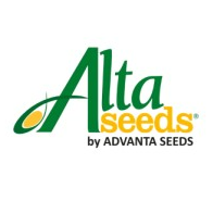 AltaSeeds