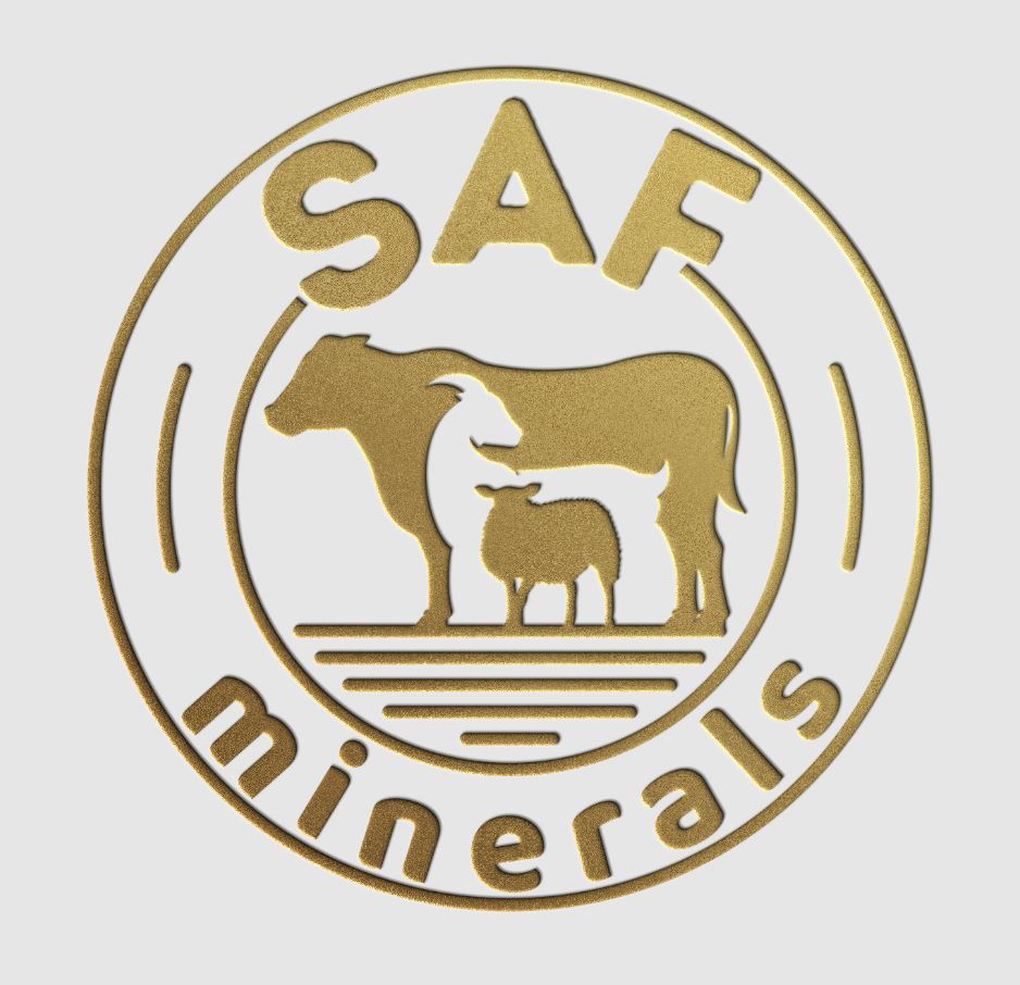 SAF MINERALS