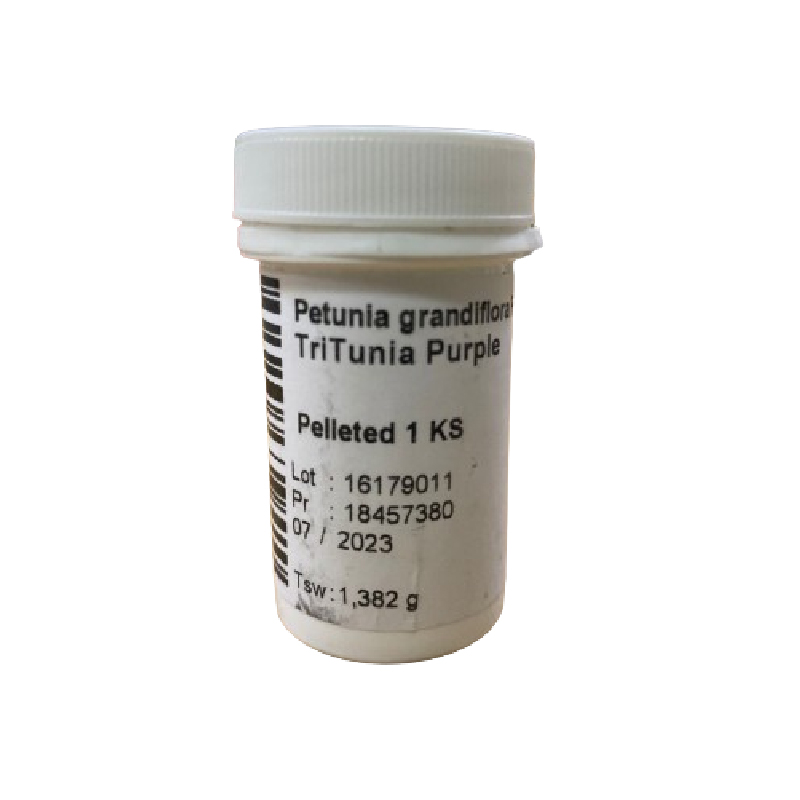 Petunia Grandiflora Mov F1, 1000 seminte