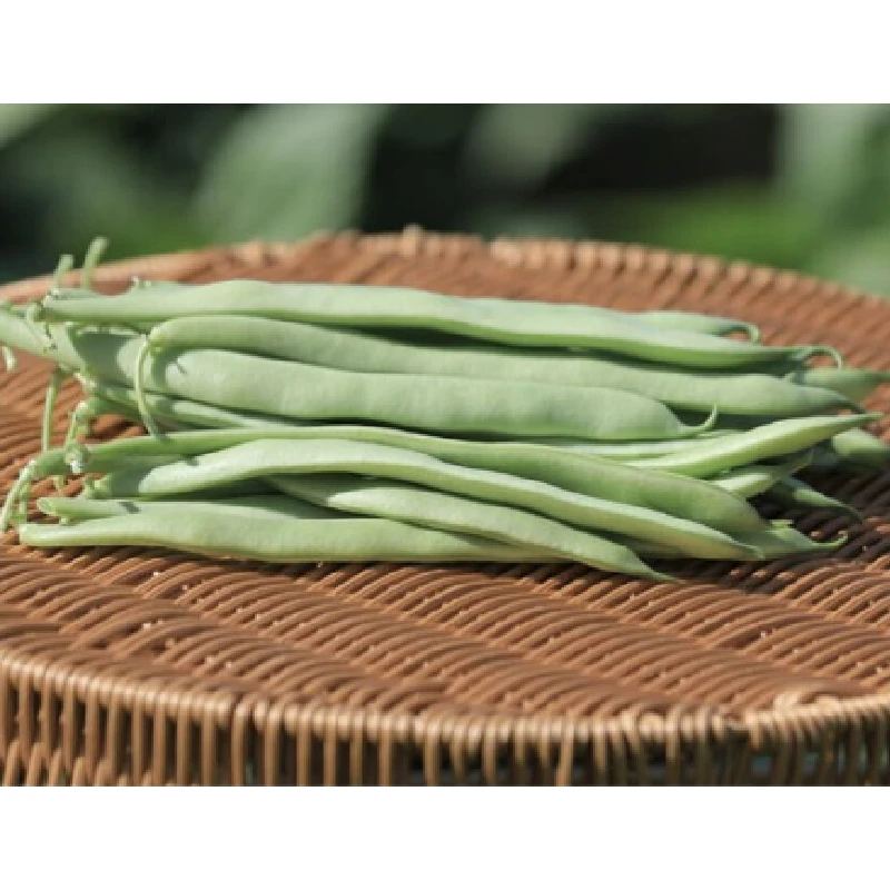 Fasole pitica, pastaie lata verde BB BED 0919 - 25 kg