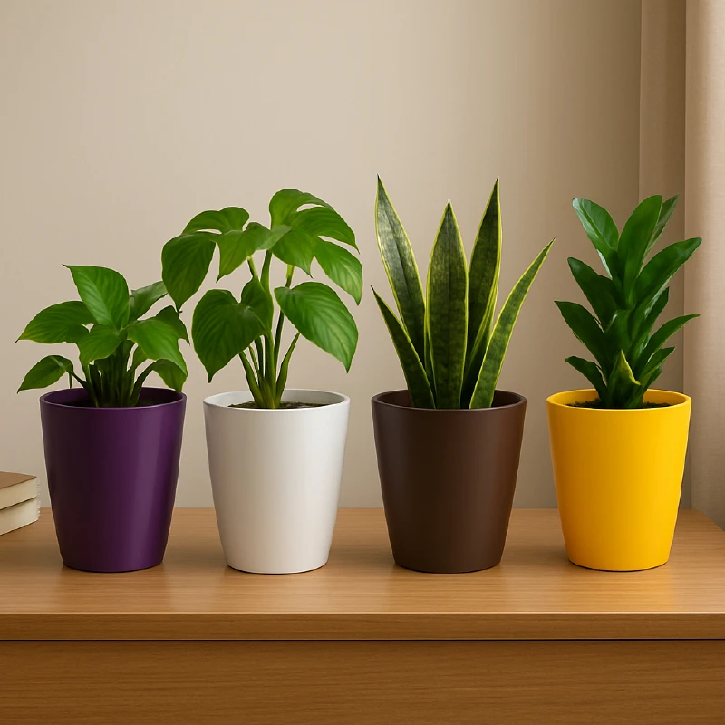 Ghiveci decora 4 gri, 6 Litri