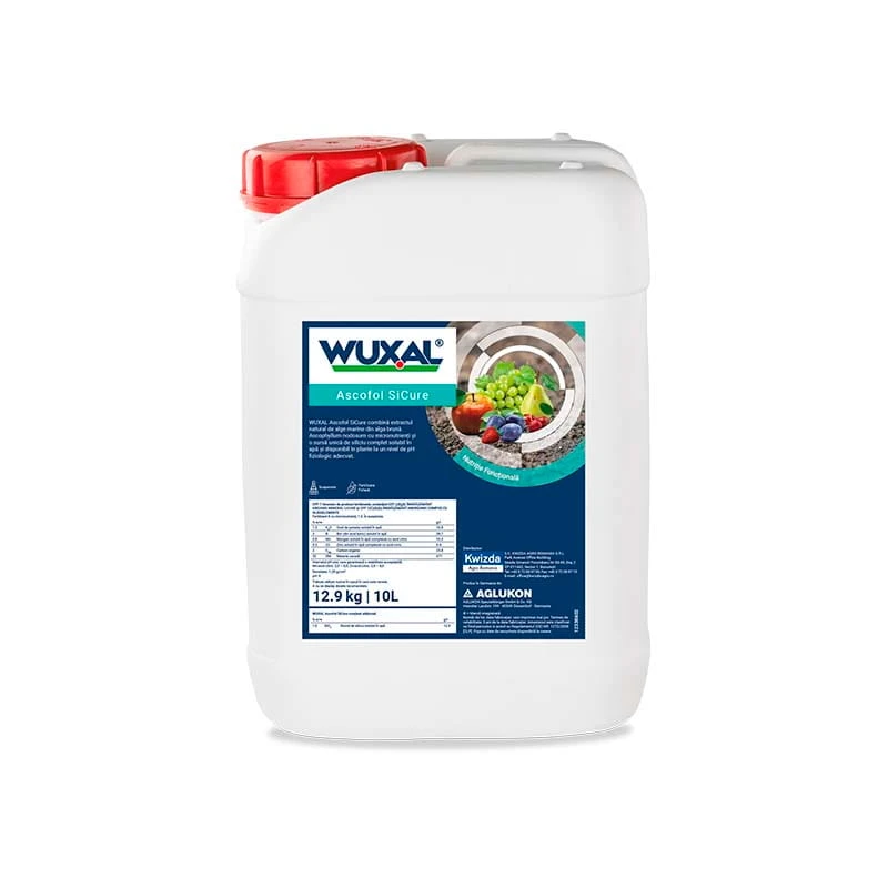 Ingrasamant foliar WUXAL Ascofol, 10 Litri