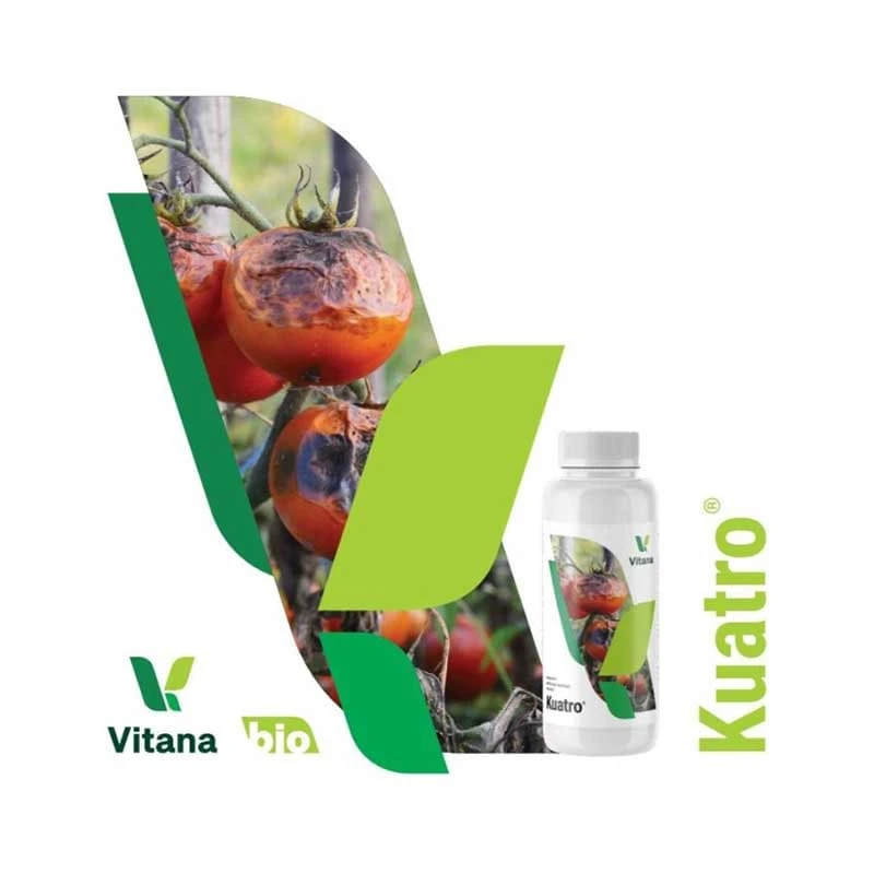 KUATRO, Tratament Antifungic, Ecologic, 100 ml