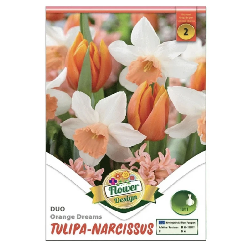 Lalele DUO Orange Dreams, Kertimag - categoria 2, 6 bulbi