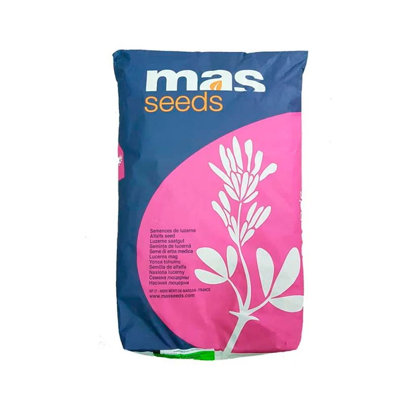 Samanta Lucerna Drajata MAS ALFA 4 Mas Seeds - sac 25 kg