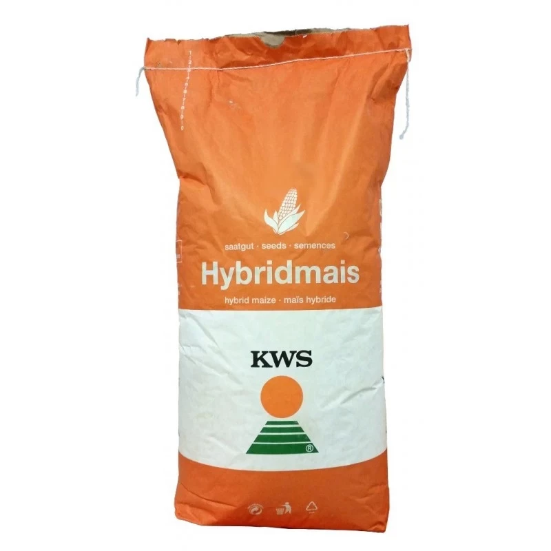 Samanta porumb KWS INCANTIO INITIO, FAO 390, ClimaControl3 - 50.000 boabe