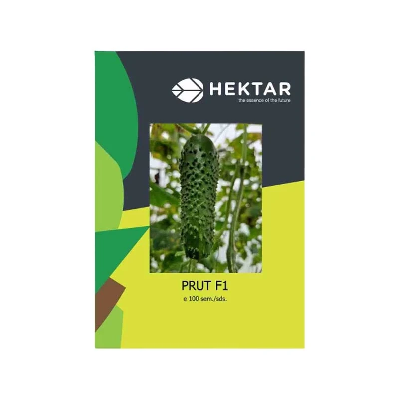 Seminte Castraveti PRUT F1, Hektar, 50 seminte