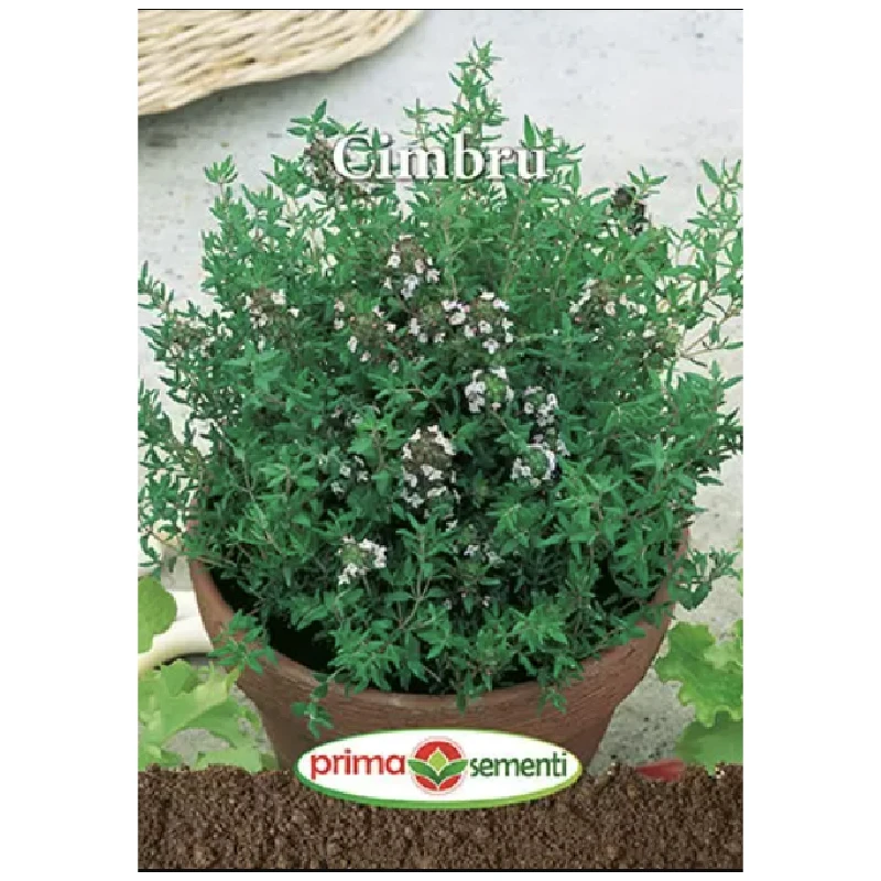 Seminte Cimbru, Primasementi - 0.4 grame