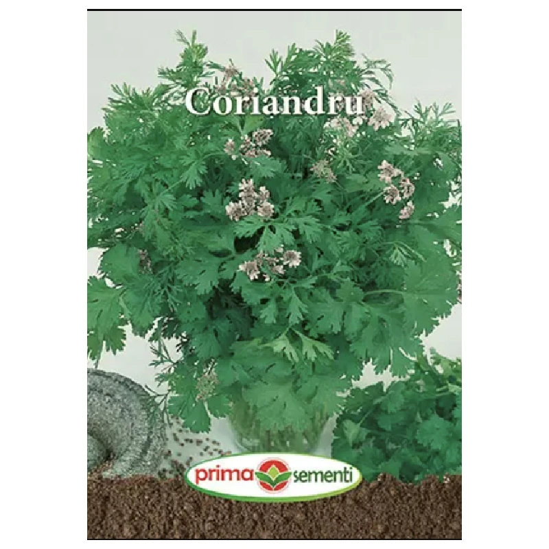 Seminte Coriandru, Primasementi - 5 grame