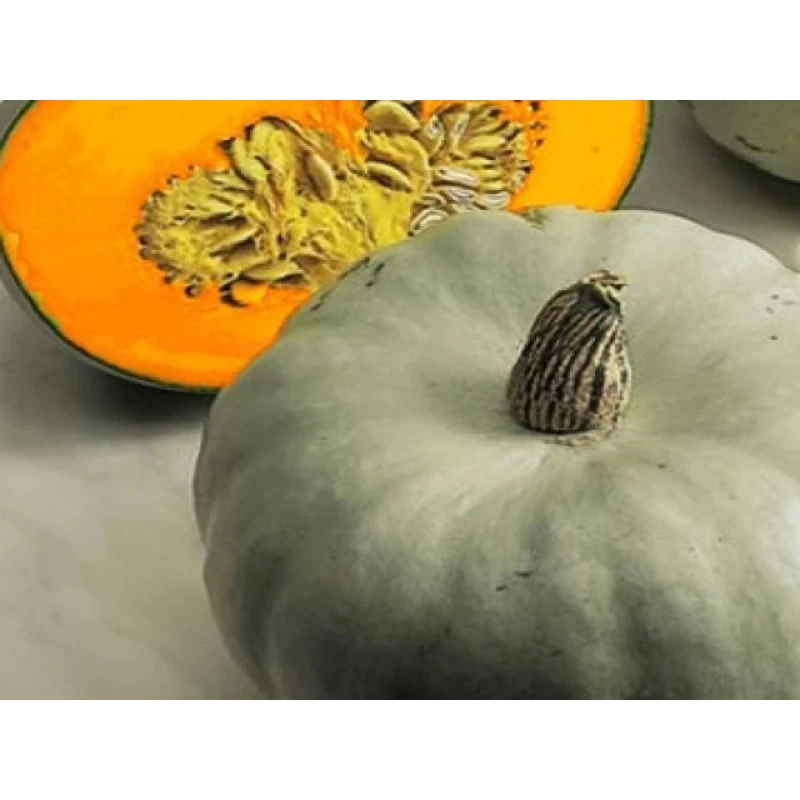 Seminte De Dovleac CROWN PRICE, Sakata, 1.000 seminte