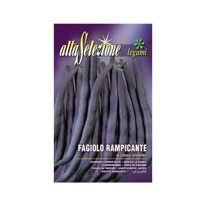 Seminte de fasole URCATOARE COSSE VIOLETTE - 170g