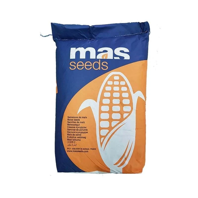 Seminte de Porumb PELOTA Mas Seeds, FAO 550, Siloz - Sac 50.000 boabe