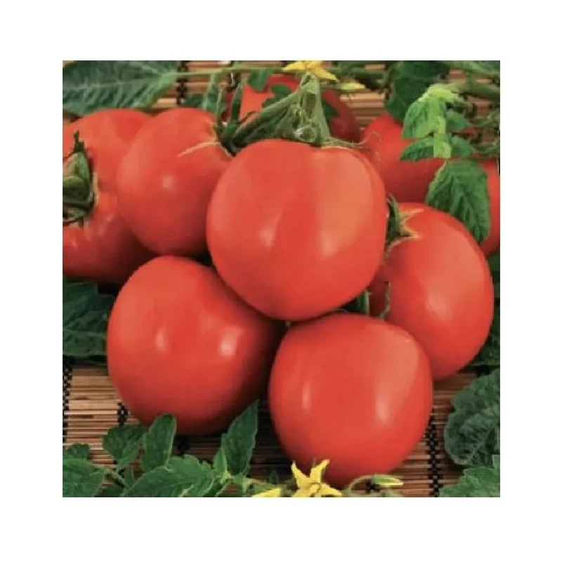 Seminte de tomate RALUCA, Agrosel - 3.000 seminte