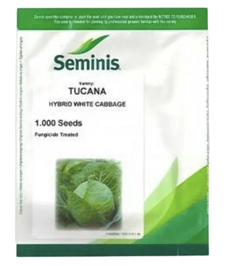 Seminte de Varza TUCANA F1, Seminis - 1000 seminte