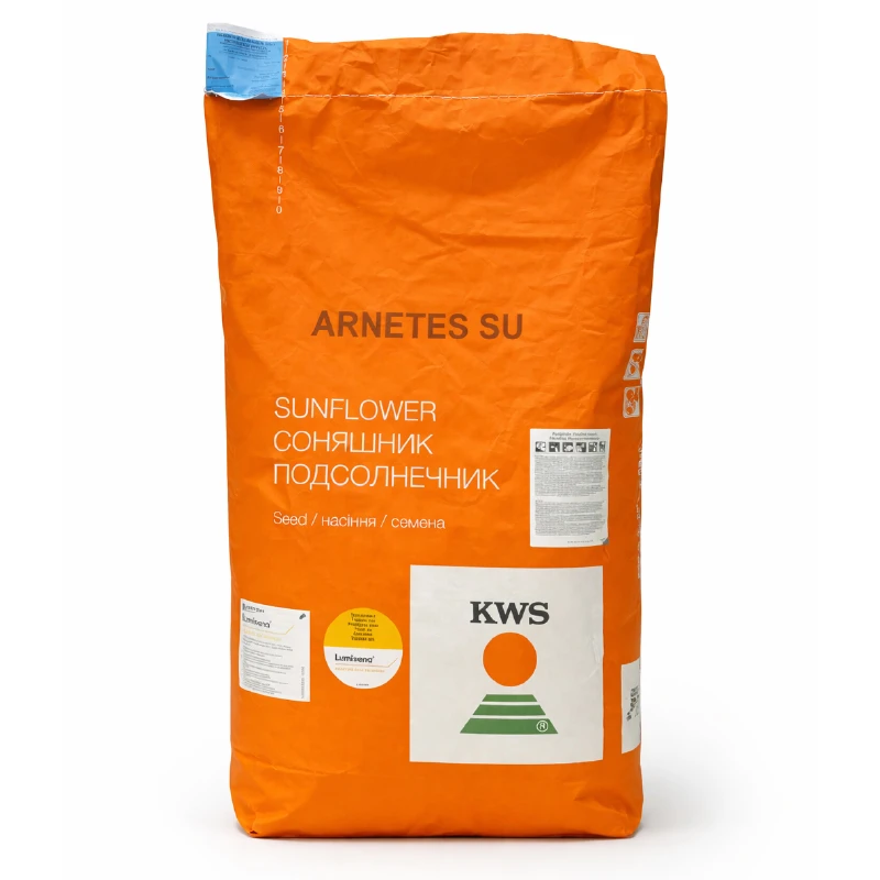Seminte Floarea Soarelui KWS ARNETES, Express - 150.000 seminte