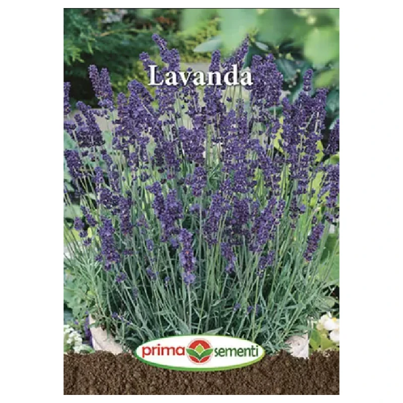 Seminte Lavanda, Primasementi - 0.3 grame