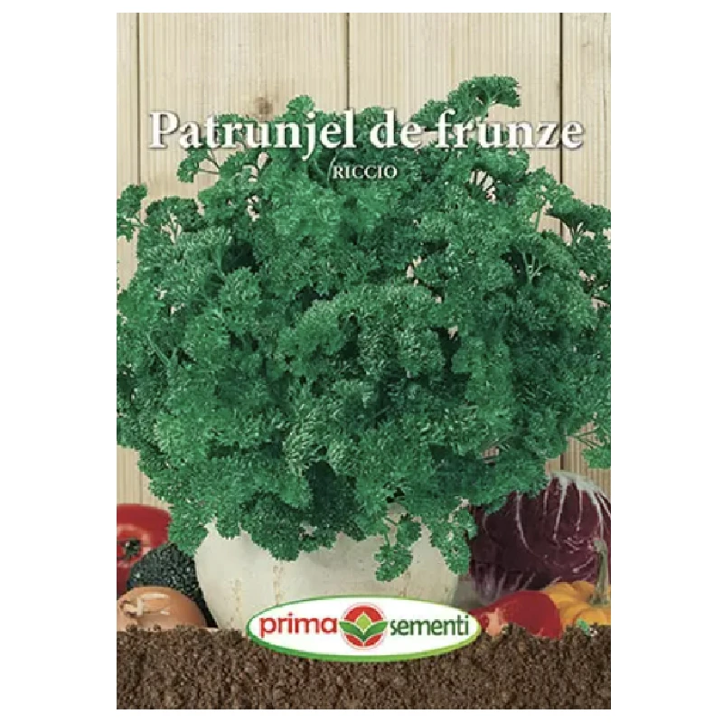 Seminte Patrunjel frunze Riccio, Primasementi - 5 grame