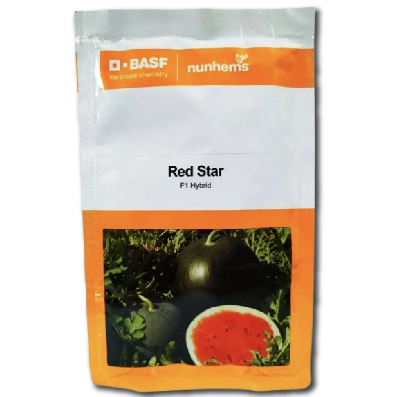 Seminte Pepene RED STAR F1, Nunhems, 500 seminte