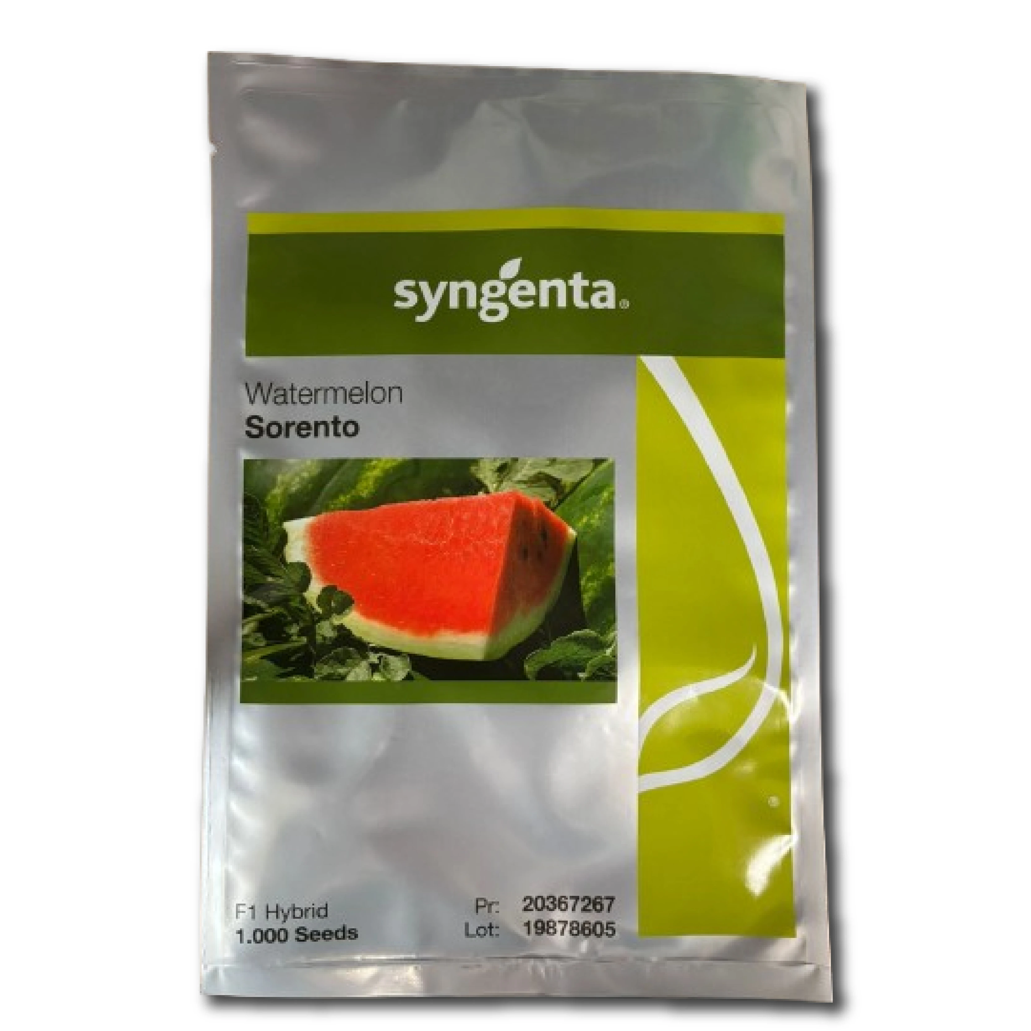 Seminte Pepene verde SORENTO F1, Syngenta, 1000 seminte