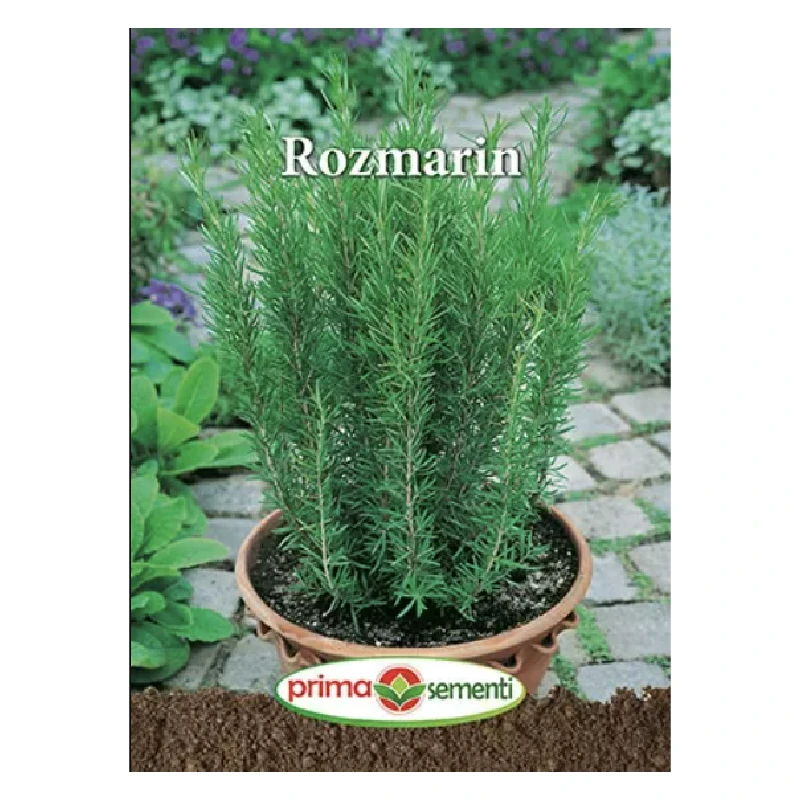 Seminte Rozmarin, Primasementi - 0.05 grame