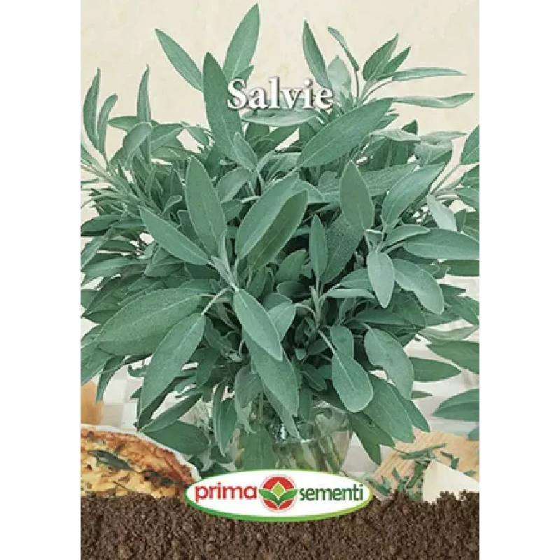 Seminte Salvie, Primasementi - 1 gram