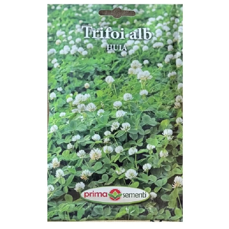Seminte Trifoi Alb HUIA, PrimaSementi - 100 grame