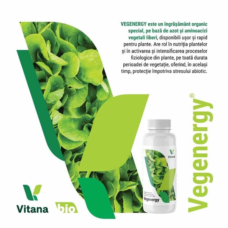 VEGENERGY, Ingrasamant Azot si Aminoacizi, 100 ml